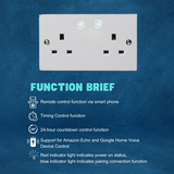 AXIOM Double Switched Socket with Wifi